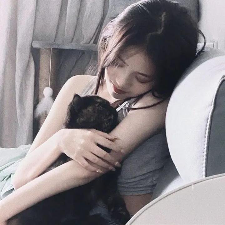 流星蝴蝶剑 (1976年电视剧)